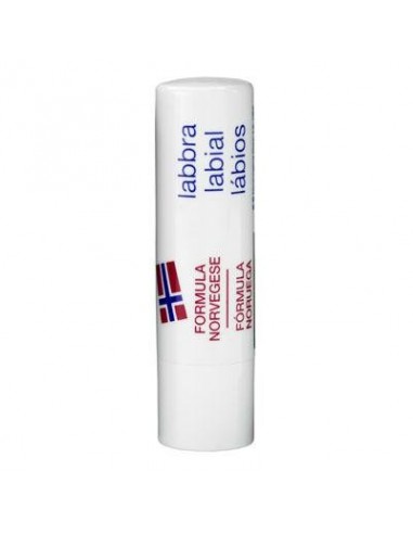 NEUTROGENA LABIOS SPF 20 1 ENVASE 4,8 g