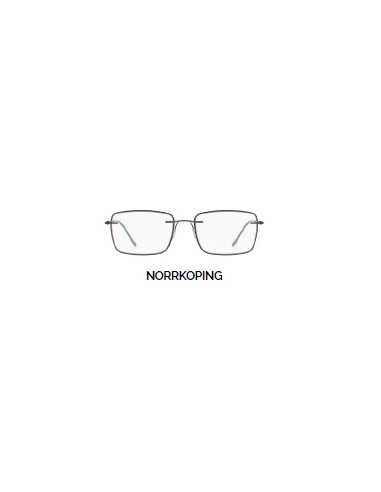 GAFAS DE PRESBICIA NORDICVISION 1 NORRKOPING