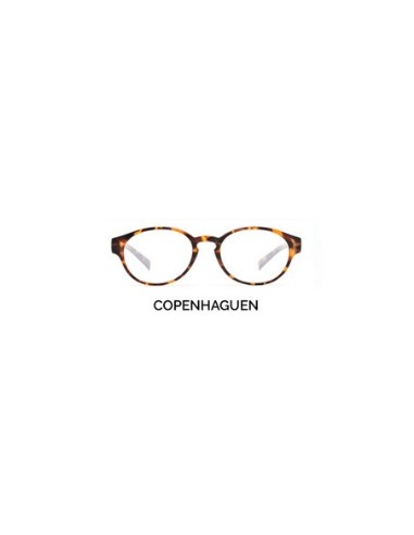 GAFAS DE PRESBICIA NORDICVISION 2.5 COPENHAGEN
