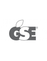 GSE